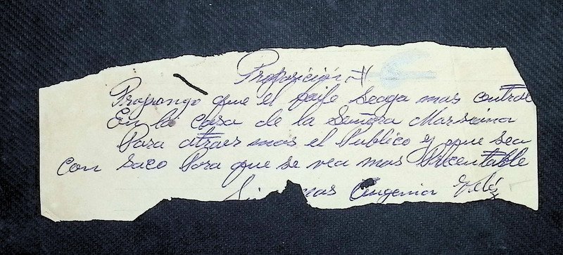 Proposiciones Comité Pro-Candidata