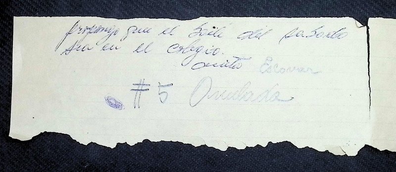 Proposiciones Comité Pro-Candidata
