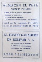 Programa oficial - concurso de belleza