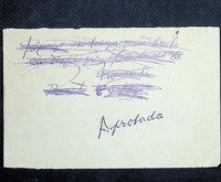 Proposiciones Comité Pro-Candidata